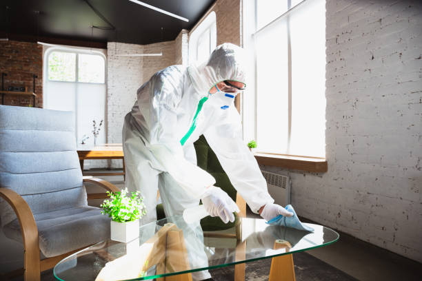 Why You Should Choose Our Mold Remediation Services in Manorville, NY